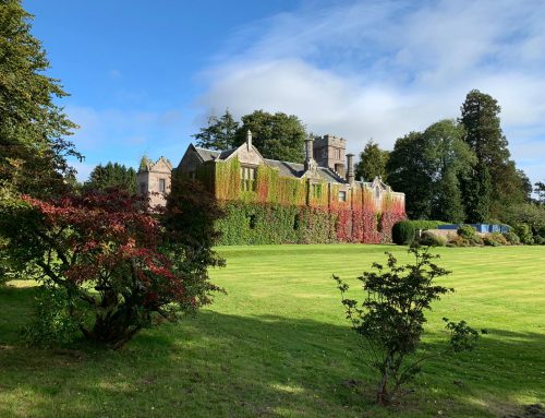 Wedding FAQ’s about Millearne Gardens