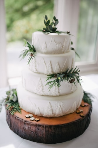 Winter wedding cake 2